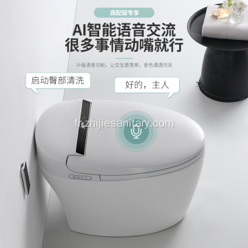 smart toilettes standard américain rinçage automatique